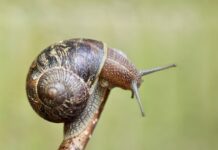 Jak sprawdzić czujnik poduszki powietrznej?