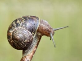 Jak sprawdzić czujnik poduszki powietrznej?