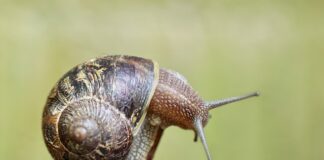 Gdzie znajduje się czujnik poduszki powietrznej?